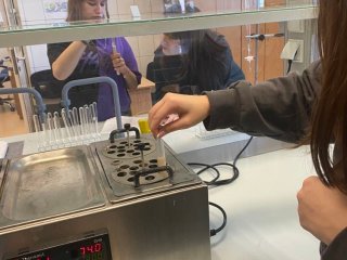 Warsztaty uczniów Budowlanki na UM Lublin