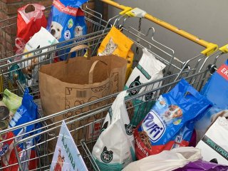 Wolontariuszki ze SK PCK 