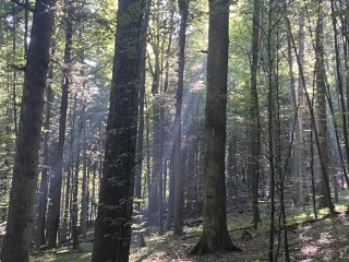 Rajd Szkolnego Koła Caritas po Roztoczańskim Parku Narodowym