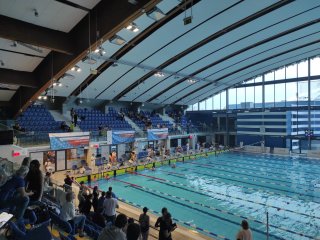 Półfinał i finał wojewódzkiej licealiady w pływaniu