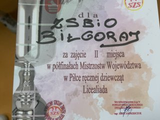 II miejsce w półfinale wojewódzkiej licealiady w piłce ręcznej dziewcząt