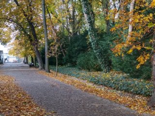 Jesień w Warszawie