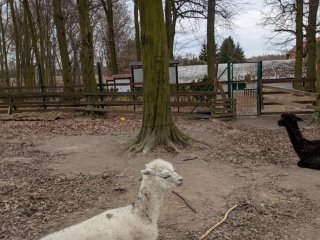 Warsztaty medialno-literackie "Reymont Movie"