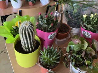 Akcja charytatywna dla Karola Ziomka