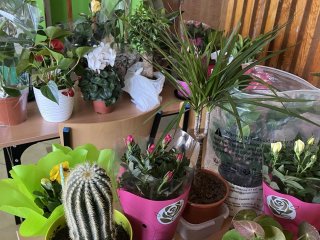 Akcja charytatywna dla Karola Ziomka