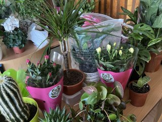 Akcja charytatywna dla Karola Ziomka