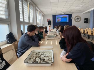 Warsztaty przyrodnicze