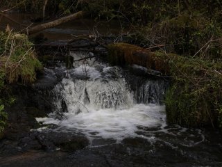 Warsztaty dla laureatów konkursu Człowiek w Środowisku