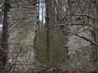 Warsztaty dla laureatów konkursu Człowiek w Środowisku
