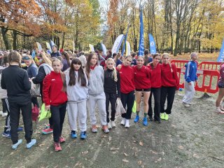 Budowlanka 10 w Polsce!!!